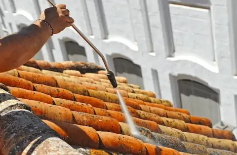 Nettoyage de toitures - Serrières-de-Briord